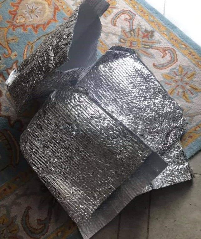Single Use Freezer Bag. Photo courtesy of Meisha-Ann Martin.