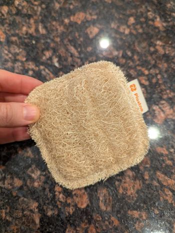 Scrub Sponge