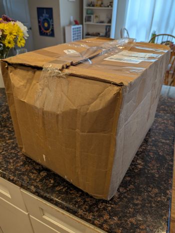 Banged Up Box Back