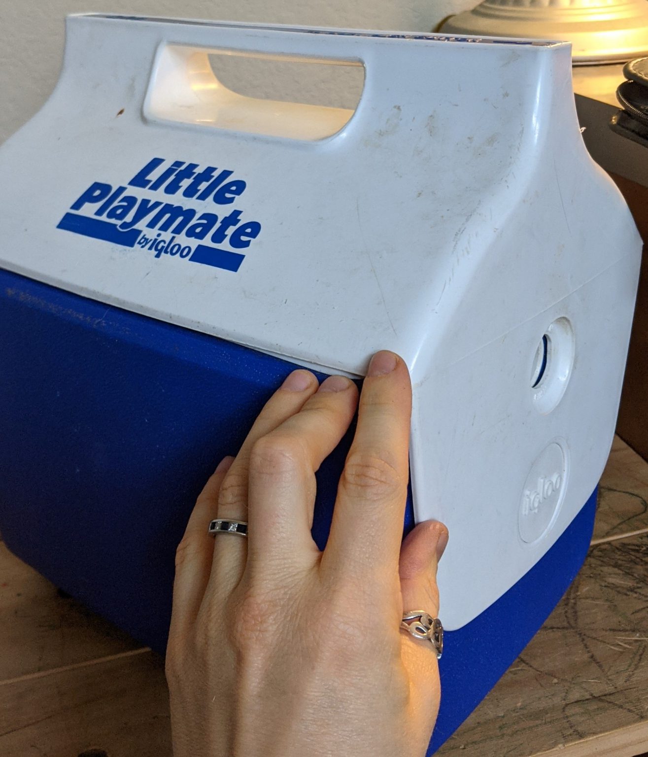 Repair Igloo Coolers a little more green