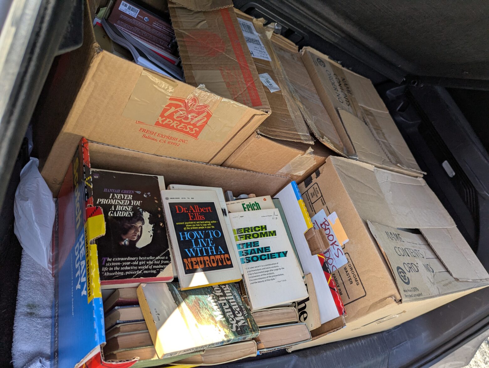 Downsizing: A Bookcase of Books