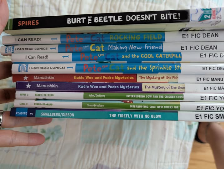 Library Haul 07.07.25 for my Level 2 Reader