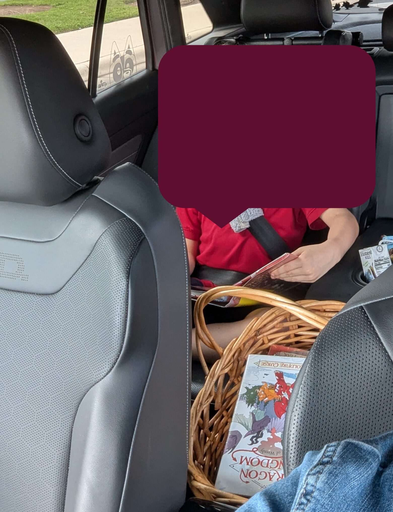 Book Win for 2nd Grade: Dragon Kingdom of Wrenly